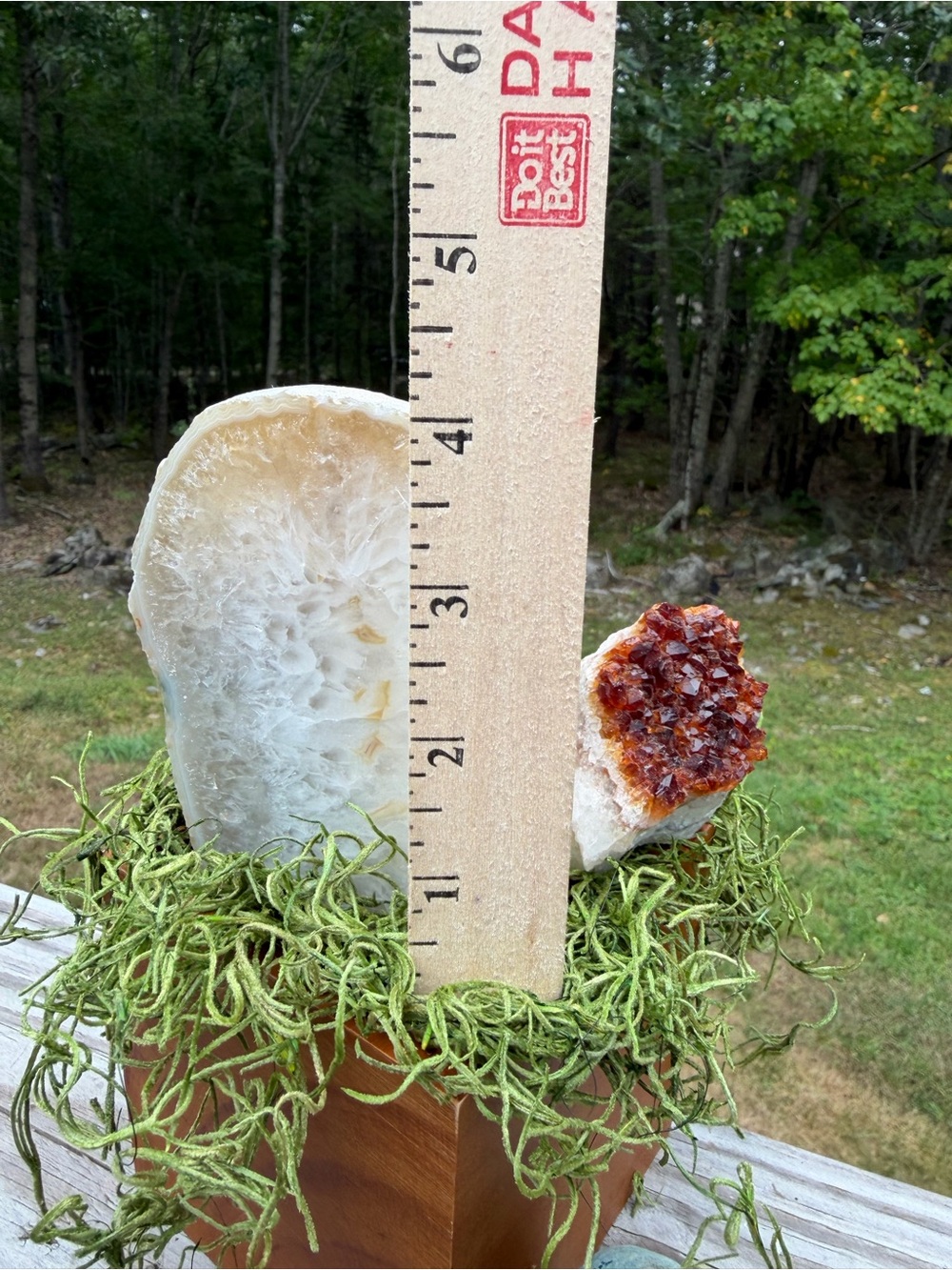 Crystal Garden | Rare Llanite | 6 Specimens - Picture 9 of 13